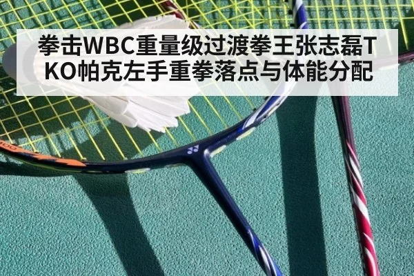 拳击WBC重量级过渡拳王张志磊TKO帕克左手重拳落点与体能分配